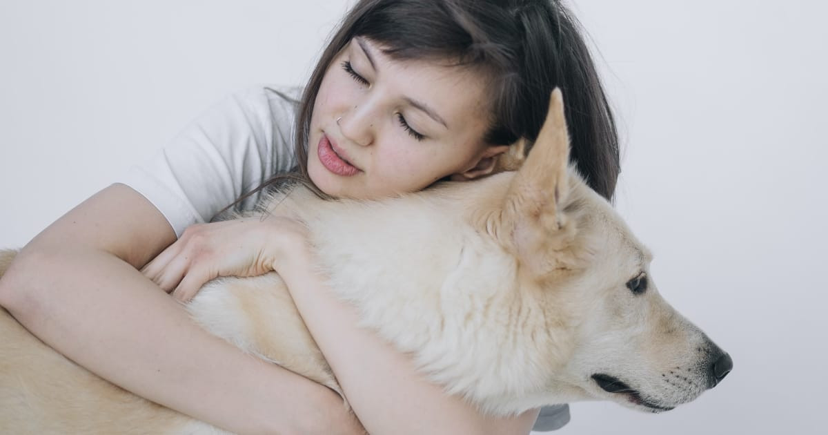日本人「コンビニきたらキマってる犬いた」→声出して笑っちゃったｗｗｗ【台湾人の反応】 | 海外の反応アンテナ