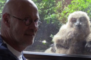 巨大なフクロウの家族とアパートを共有する男　海外の反応