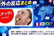 海外「抹茶キットカットは最高にうまい」 アメリカ人が日本のお菓子を初試食、抹茶キットカットの扱いに怒りの声