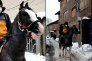 馬に乗って荷物を届けるAmazonの配達人、雪で車両が通れない地域に（インド）