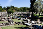 海外「墓はスペースの無駄だし、遺体を箱に入れて埋葬するのは奇妙だ」
