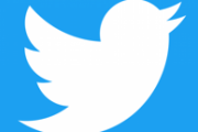 海外「Twitterとかまだやってる奴いんの？ｗｗｗ」アメリカ人でツイッターを使用してる人の割合は22%らしい・・・