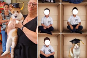 毎日学校に通い続けた近所の猫が児童と一緒に卒業