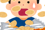 韓国人「日本は大したことないですが、お菓子のパッケージの写真と実物が同じところだけは見習ってもいいです」