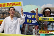 韓国人「ついに韓国で犬食禁止法案が成立するのか！？」