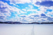 韓国人「氷上も雪道も進める画期的なロボット」
