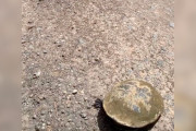 【海外】「ドライバーが道路の“岩”に気づいて車を停めた結果…足が出現！」