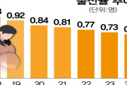 【疑問】韓国人「なぜ日本の出生率は韓国より高いのか？」→「伝統が影響？」