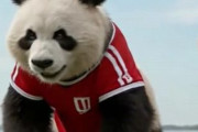 中国人「日本サッカーの節目となった1997年の試合を振り返る」　中国人「この時代の日本代表が一番好き」「中国に足りないのは彼」