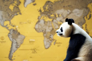 中国人「中国人の目から見た日本地図はこんな感じ」　中国人「確かにこんな感じ」「詳しすぎないか？」