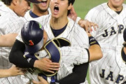 韓国人「日本での大谷の人気水準がこちら‥」日本で20代は野球を全く見ない人も多かった‥ﾌﾞﾙﾌﾞﾙ　韓国の反応