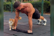 【海外】公園でエクササイズ中の男性、野良猫の“お持ち帰り要求”に驚愕！あなたもこの愛らしい瞬間を見逃すな！