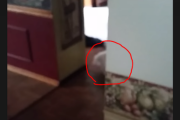 耳の聞こえない飼い猫に「ドッキリ帰宅」してみた 海外の反応