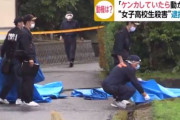 【韓国の反応】寝ていた16歳の孫を無惨に殺害した86歳の認知症のおじいさん…日本の衝撃事件の裁判。韓国の反応「殺人でも無罪を要求する弁護団も問題。/人を殺したなら当然犯罪だ。」