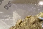 米の日本食料品で売られている生わさびの値段に全米騒然！←「本物の価値！」（海外の反応）