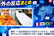 海外「一生お弁当だけで生きていけそう」 日本の駅弁やコンビニ弁当だけで丸一日過ごす動画が話題に