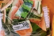 【中国の反応】スイカの“皮”が100円？？「ホームレスの尊厳を守るため？？」「資本主義＝貧乏国」「にしてもみすぼらしいw」