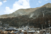 韓国人「春に日本へ旅行してはいけない理由に衝撃！山全体から噴き出す“黄色い粉塵”が想像を絶するレベルだった件」