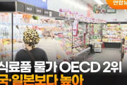 韓国の飲食料品物価、OECD2位…米国や日本よりも高い＝韓国の反応