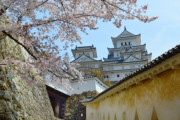 韓国人「日本の時代劇で見たのだが、これ本当か？」