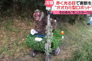 【話題沸騰】韓国人「日本の畑にモンスターウルフ登場って…現実なのかｗｗｗ」