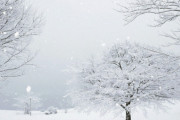 海外「マリオカートにこんなのあったな」日本の本気の積雪を見てみろ！