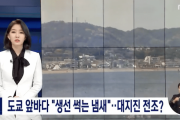 【韓国の反応】東京近海「魚が腐った臭い」…大地震の前兆？…韓国人「数百年あくどく生きてきた因果応報なのか、国の寿命が尽きようとしてるのか。グッド！」
