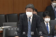 【韓国の反応】韓国でのコロナ検査キットの「独島」命名求める請願に…日本の外相、「竹島は日本の領土」