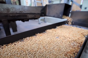 海外「ここで作るきな粉を食べてみたい！」日本のきな粉工場の1日を紹介した動画を見た海外の反応