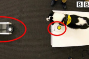 犬はロボットを操作できるか？ 海外の反応