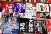 【悲報】韓国人「日本国民の85%が韓国が嫌いだそうです‥」→「そんなに韓国が嫌いなのに何故覗き見をするの？」　韓国の反応