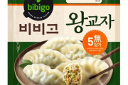 韓国「お前らの国にも独自のダンプリング料理ってあるの？」