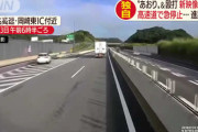 新映像も　白BMWの煽り運転　交通事故鑑定人の分析は？