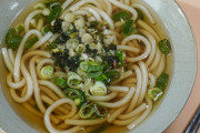 韓国人「韓国人が日本でうどんを食べた感想がこちらです」→「日本のUFOは韓国と同じ味でした」　韓国の反応