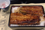 海外「今日、夕食でうなぎを食べた！ 皆はうなぎ好き？」→「イエーース」「一週間、毎日でも食べたいくらい」「最高の料理」「たまに食べるごちそうだよ」