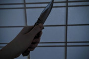 韓国人「殺人動物ランキング」