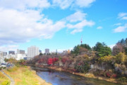 韓国人「日本の川で見られる生き物…どんだけ水がきれいなのか」