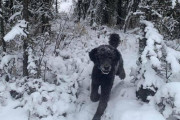 男性が雪の中を走っている？ネットをざわつかせた錯視画像