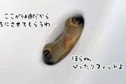 洗面所の排水口から覗いている謎生物の正体は？最後にハッピーエンドが待っていた