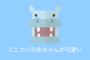 日本の「ミニカバの赤ちゃん」いつでもちょっと草ついてるところが可愛いと話題に！【台湾人の反応】