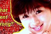 海外「ファンだからうれしい！」「続編気になる！」日本の大物タレントのキャリアを追った動画に反響
