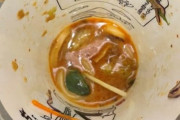 韓国人「日本の丸亀シェイクうどんにカエルが入っていたらしい…ﾌﾞﾙﾌﾞﾙ」