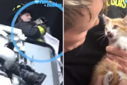 消防隊員がクレーン車を使って高速道路の高架下に閉じ込めれた子猫を救出！（アメリカ）
