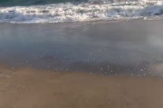 韓国人「日本の海岸で写真を撮影していたら、とんでもないハプニングに見舞われた韓国人女性」