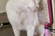 外国人「俺達が見かけたゴミを出さない凄いアイディアを見せていく！」