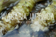 海外「日本のワサビ農家に心を動かされた」動画でワサビの真実を知った外国人から絶賛コメントが大量に寄せられる