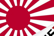 ソ・ギョンドク教授「旭日旗はナチス模様と同じ意味、5カ国語で説明資料作ってSNSで拡散する」＝韓国の反応