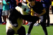 サッカーU23アジアカップ準決勝　日本が韓国に1-0で勝利！　中国人「韓国、弱くなった？」「日本が99.99999%の確率で優勝」