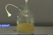 【トンスル】韓国人「スウェーデンの博物館に韓国の「トンスル」が展示される‥伝統療法の一種」　韓国の反応