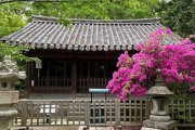 韓国人「日本から100年ぶりに帰ってきた朝鮮時代の建築物『観月堂』の数奇な運命…なぜ日本は返還してくれたのか？」